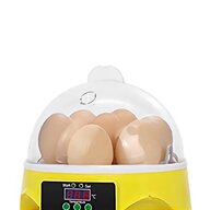 turkey egg incubator for sale