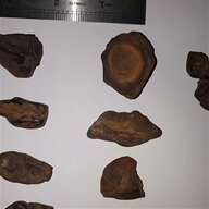arrowheads for sale