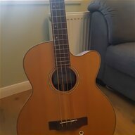 tanglewood tw133 for sale