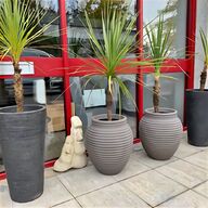 plastic outdoor plants for sale