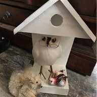 squirrel house for sale