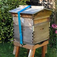 bee hives with bees for sale