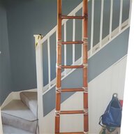 cat ladders for sale