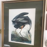 heron for sale