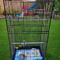 cage aviary birds for sale