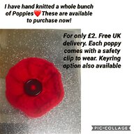 poppies for sale