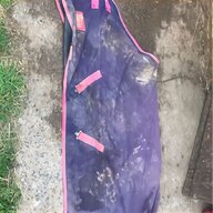 turnout horse rugs 5 3 for sale