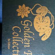 golden irish for sale