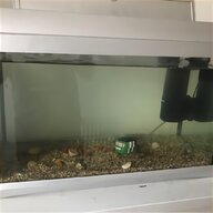 fish tank filters for sale