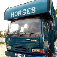 5 horse lorry for sale
