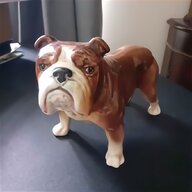 china bulldogs for sale
