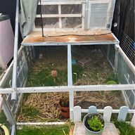 rabbit house for sale