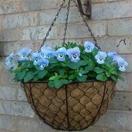 winter hanging basket for sale