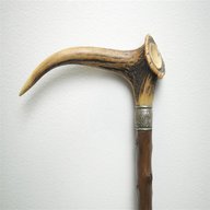 horn walking stick handles for sale