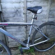 raleigh professional for sale