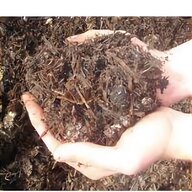 composting worms for sale
