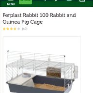 h m rabbit for sale