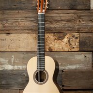 silvertone acoustic guitar for sale