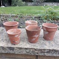 vintage terracotta pots for sale