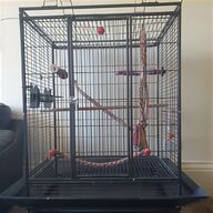 large parrot wooden perch for sale