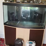 fluval vicenza for sale