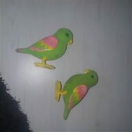 tropical birds for sale