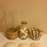 sea shells decoration for sale