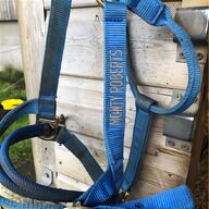 dually halter for sale