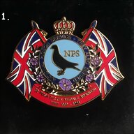 scottish medal for sale