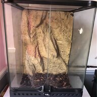 snake terrarium for sale