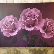 dark purple roses for sale