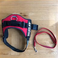 rottweiler harness for sale