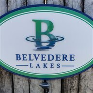 belvedere bottle for sale