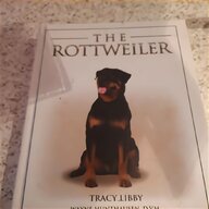 rottweiler dog for sale