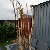blackthorn sticks for sale