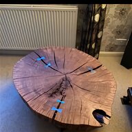 english oak tree for sale