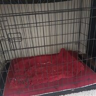 steel dog crate for sale