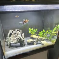 fluval 4 aquarium filter for sale