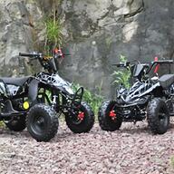 baby quad for sale