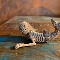 taxidermy skeleton for sale