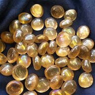 amber fossils for sale
