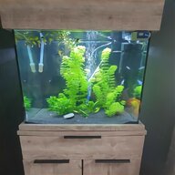 fluval heaters for sale