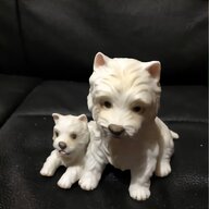 westie puppies for sale