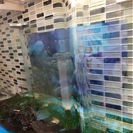 tropical fish tank plants for sale