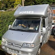 horse box for sale