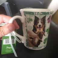 teacup yorkie dog for sale
