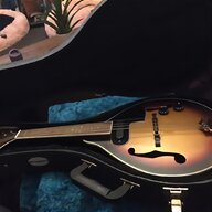 mandolin case for sale