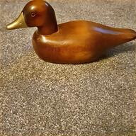 mallard duck mallard for sale