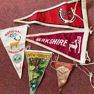 scout pennant for sale