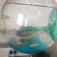 round fish tank for sale